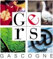 Logo cg gers 1