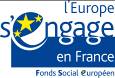 Logo fse